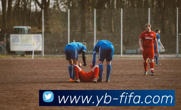 FIFA世界杯平台生态图